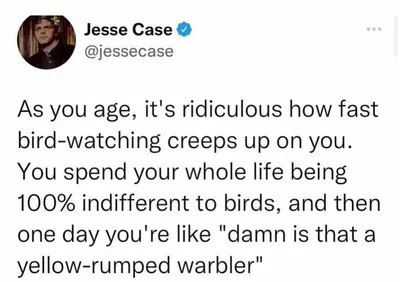 A tweet about a yellow rumped warbler